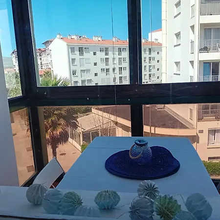 Apartment Studio A Deux Pas De La Plage, Lumineux Et Bien Equipe - Fr-1-239-759 *