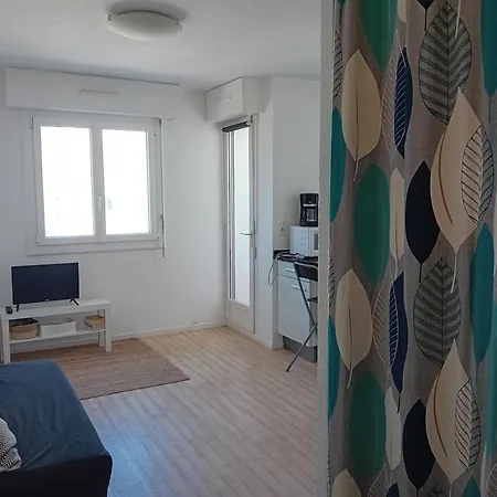 Apartment Studio A Deux Pas De La Plage, Lumineux Et Bien Equipe - Fr-1-239-759 *